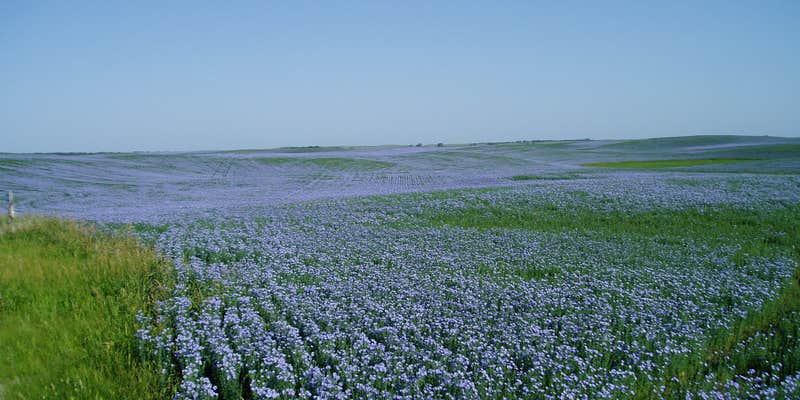 Camper submitted image from Granville City Park