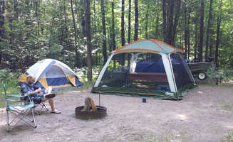 Amy E.'s photo at Council Grounds State Park Campground near Medford, WI