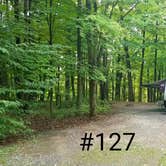 Review photo of Letchworth State Park Campground by Mary S., September 28, 2018