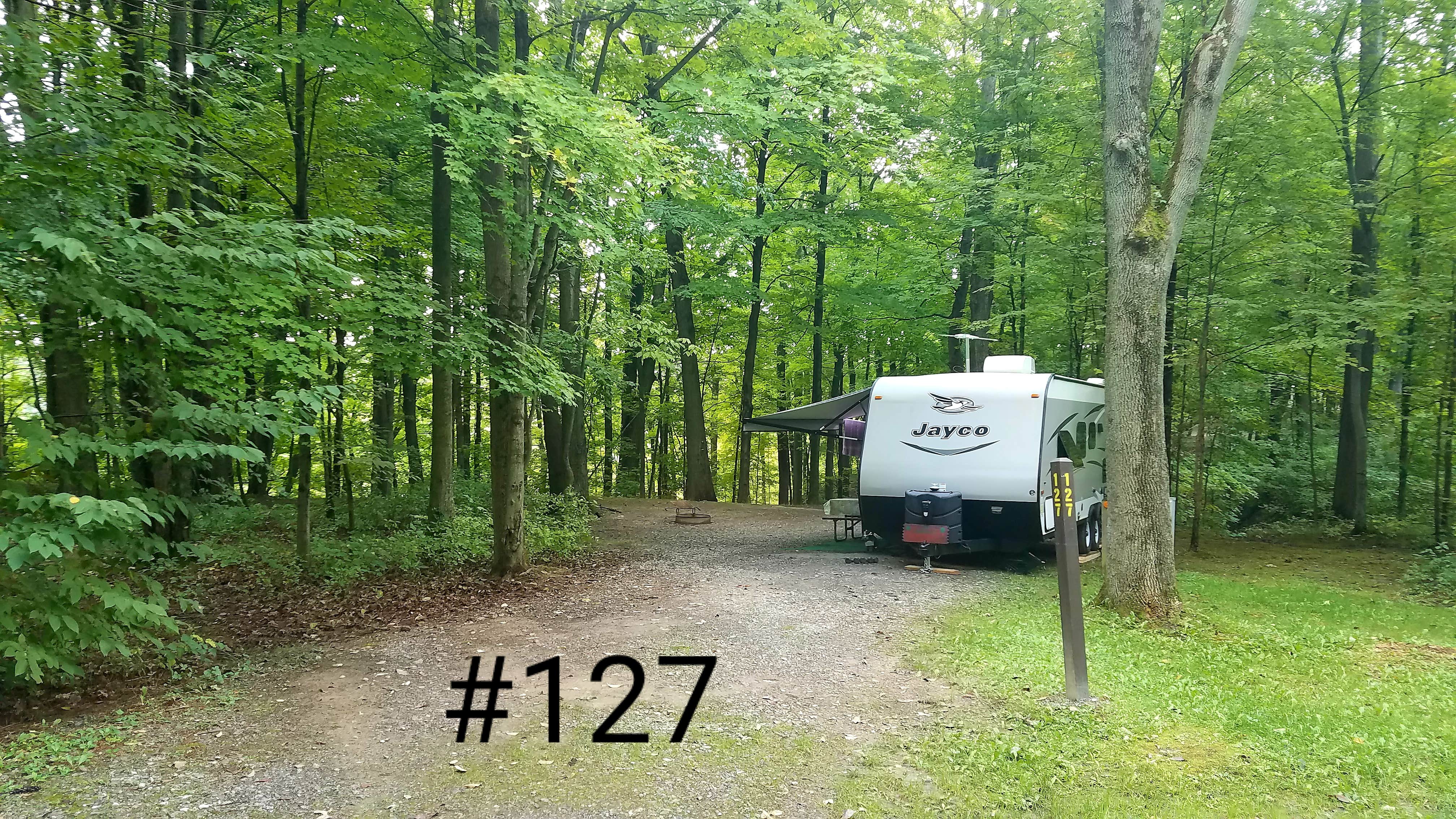Camper submitted image from Letchworth State Park Campground - 5