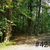 Review photo of Letchworth State Park Campground by Mary S., September 28, 2018