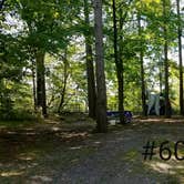 Review photo of Letchworth State Park Campground by Mary S., September 28, 2018