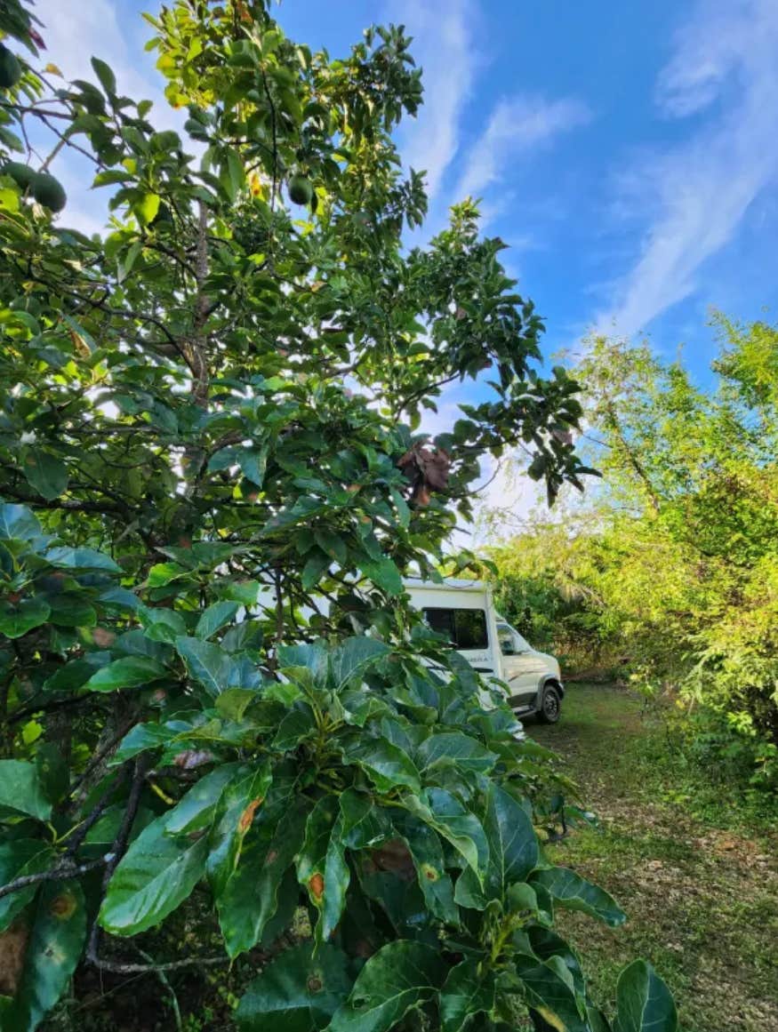 Camper-submitted photo at Redlands Acre Campground near Palmetto Bay, FL