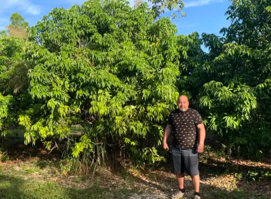 Camper-submitted photo at Redlands Acre Campground near Palmetto Bay, FL