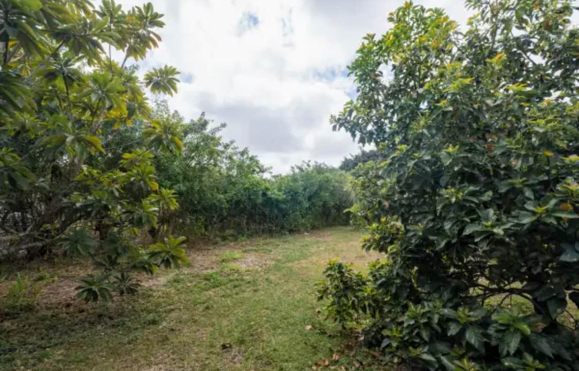 Camper-submitted photo at Redlands Acre Campground near Palmetto Bay, FL