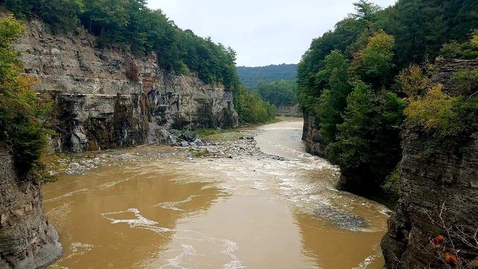 The gorge and Genesee River