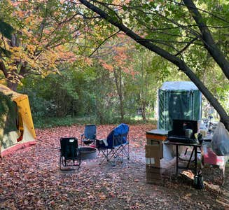 Camper-submitted photo from White Pines Forest State Park Campground