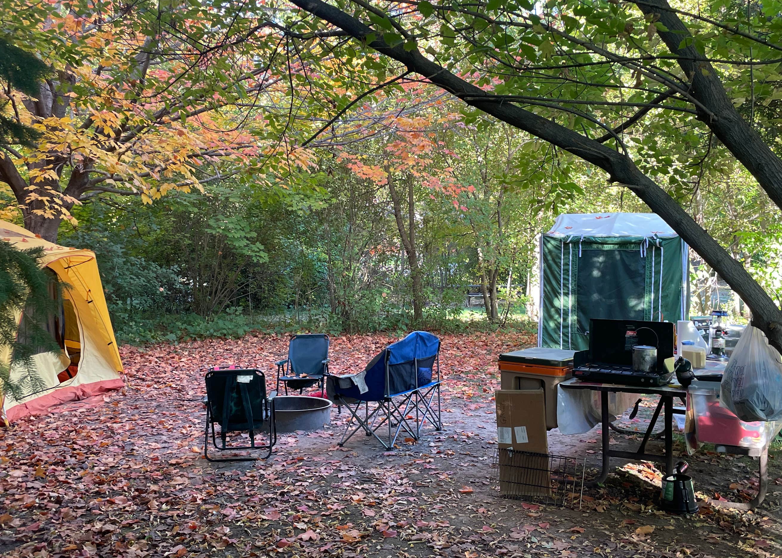 Big Foot Beach State Park Camping The Dyrt