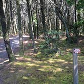 Review photo of Grayland Beach State Park Campground by Colleen T., August 12, 2016
