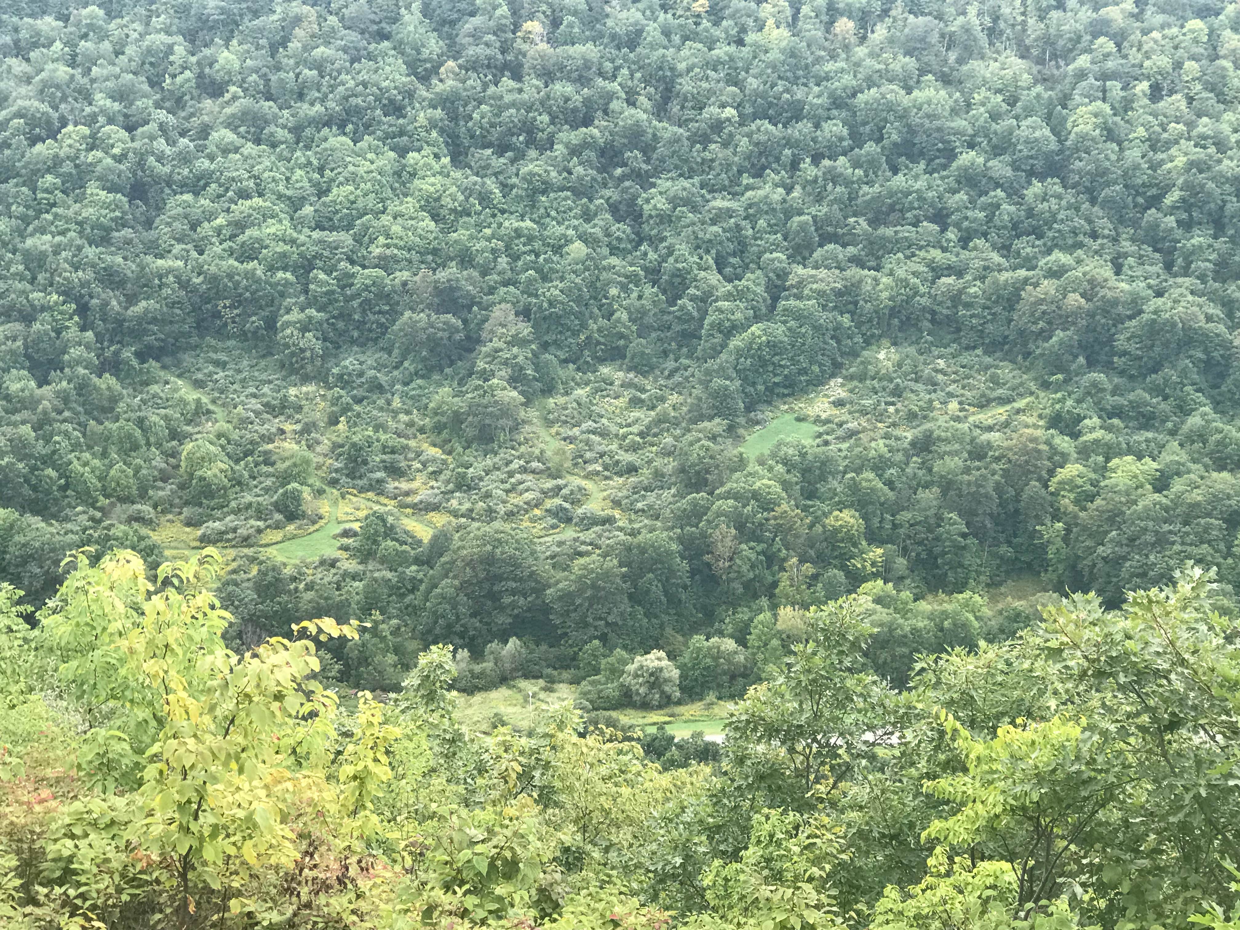 Camper-submitted photo at Ontario County Park at Gannett Hill near Nunda, NY