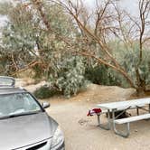 Review photo of Texas Springs Campground — Death Valley National Park by cal K., January 13, 2023