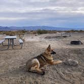 Review photo of Stovepipe Wells Campground — Death Valley National Park by cal K., January 13, 2023