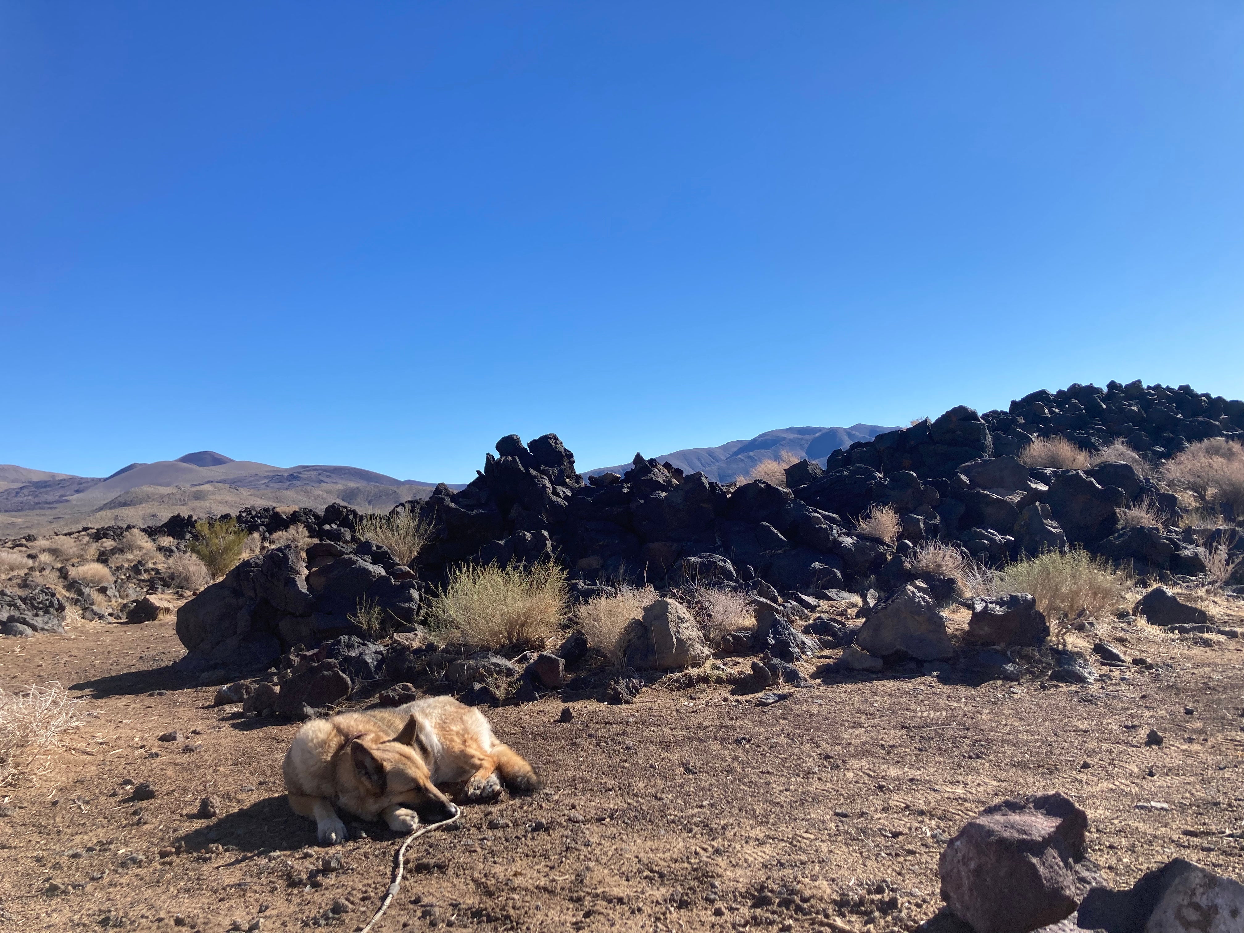 Camper submitted image from Fossil Falls Campground - 5
