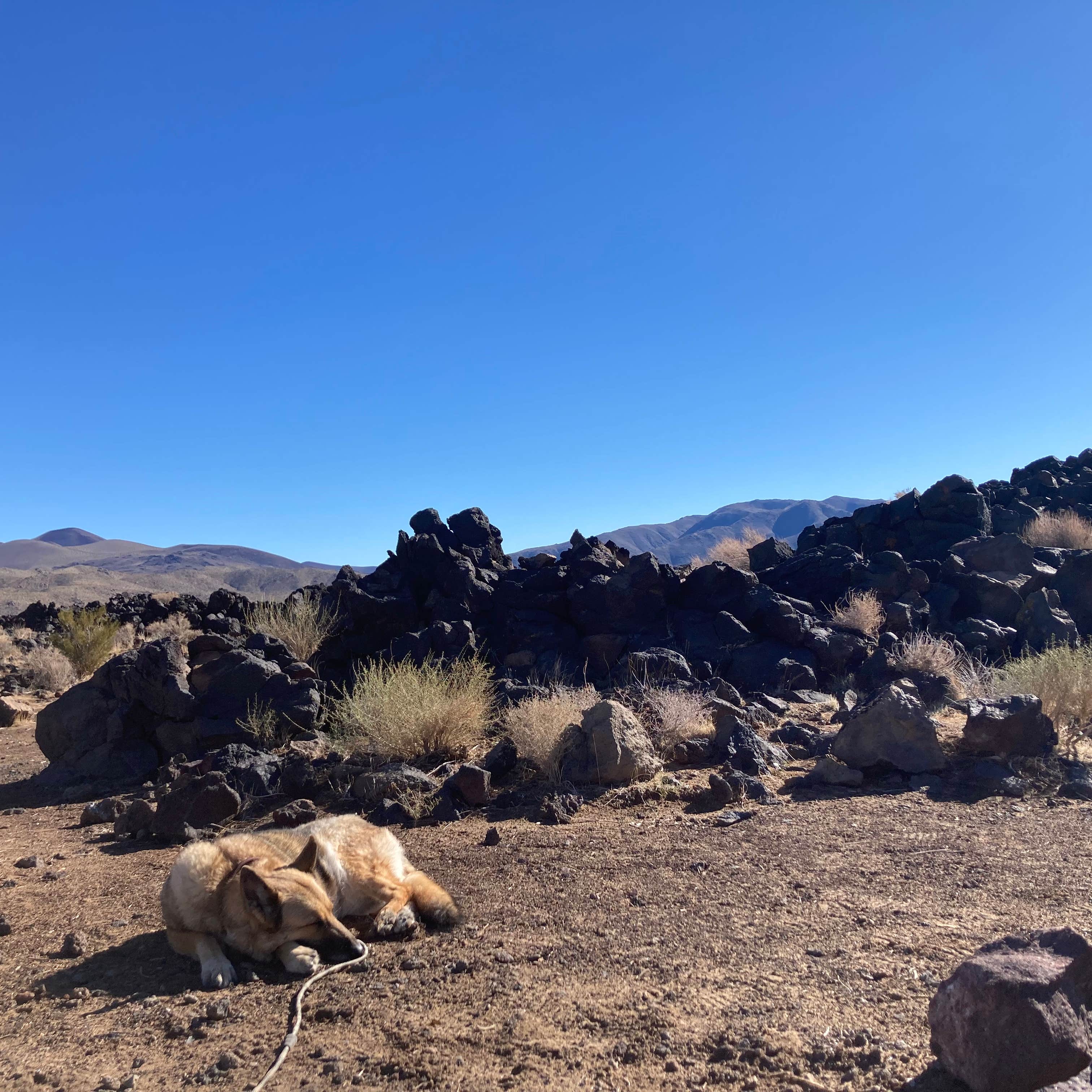 Fossil Falls Campground Camping | The Dyrt