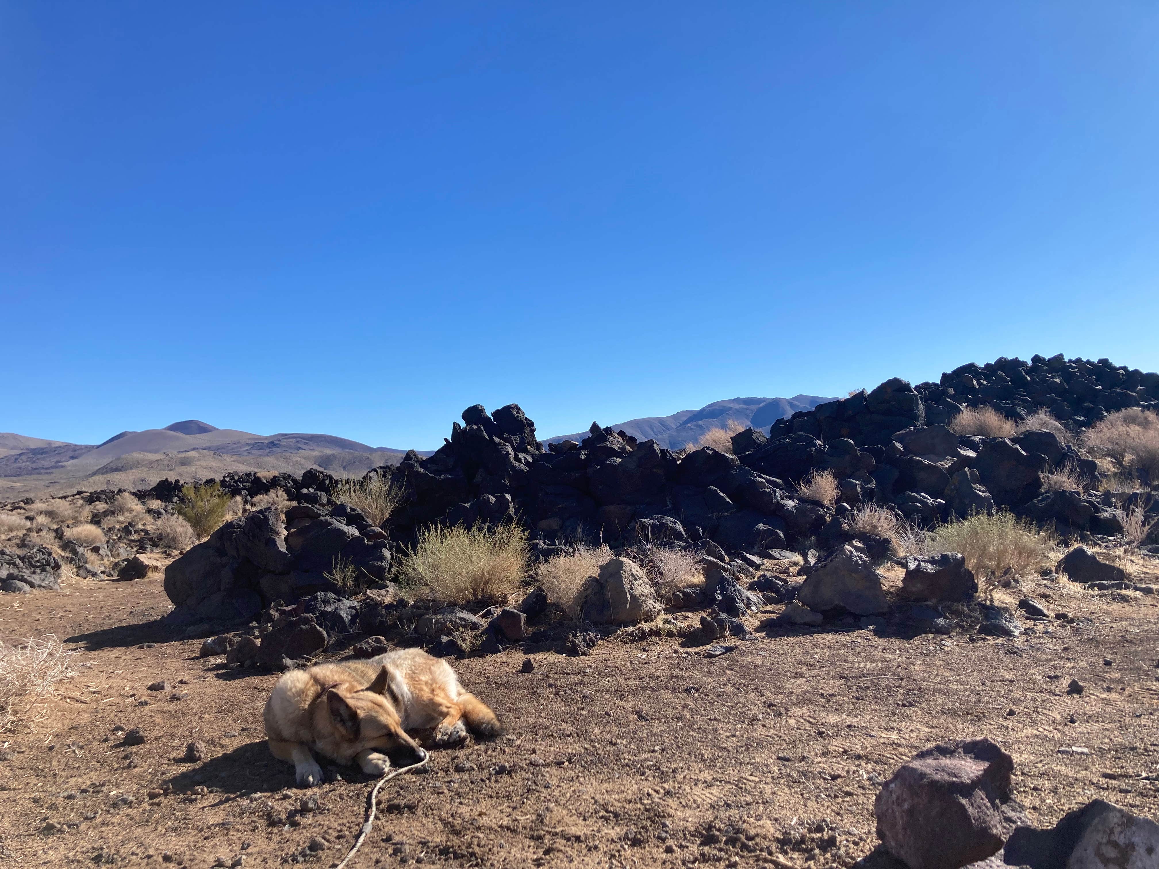 Camper submitted image from Fossil Falls Campground - 5