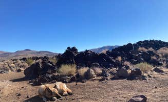cal K.'s photo of camping with pets at Fossil Falls Campground near Inyokern, CA