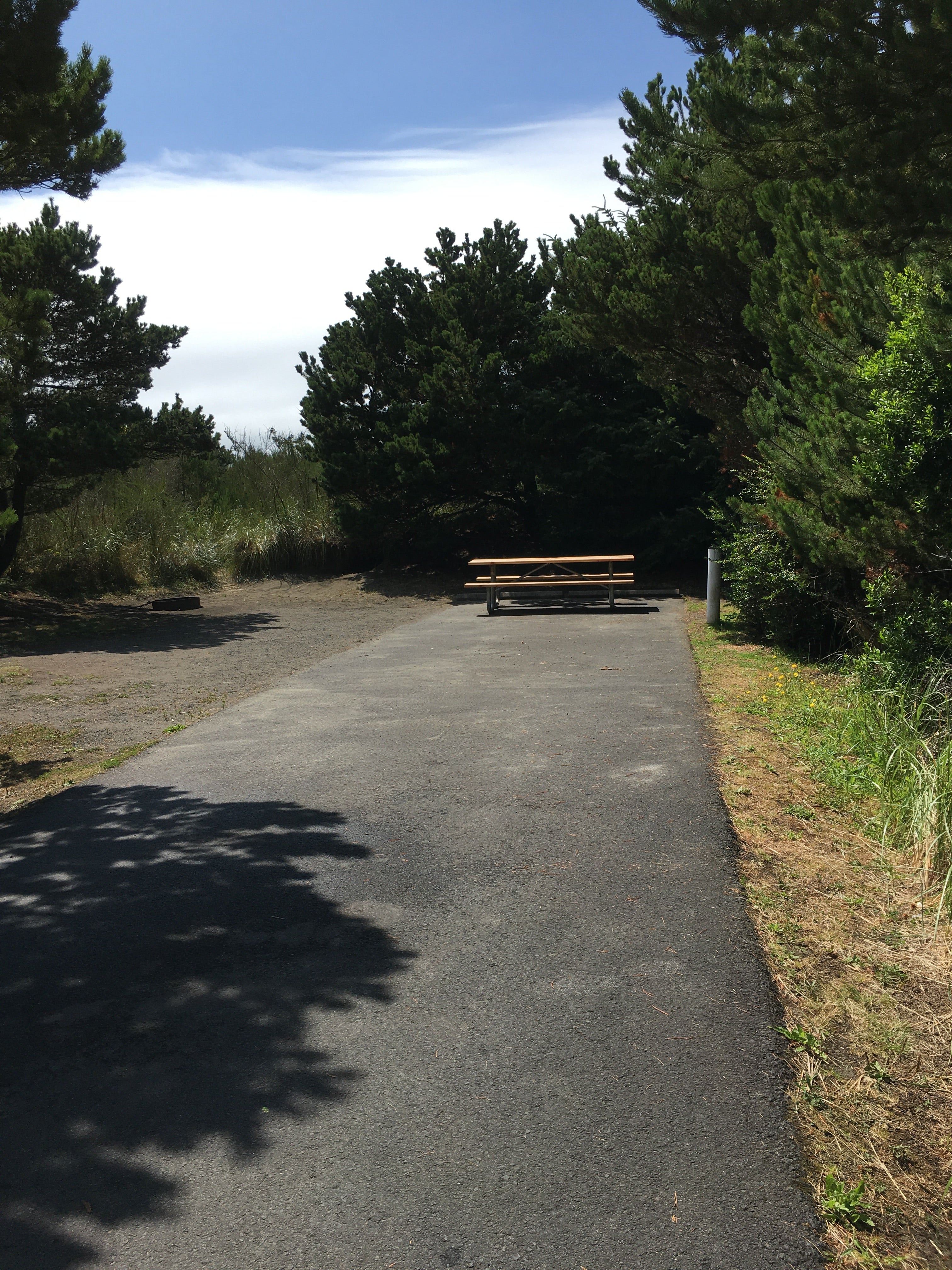 Camper submitted image from Grayland Beach State Park Campground - 4