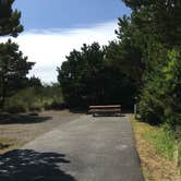 Review photo of Grayland Beach State Park Campground by Colleen T., August 12, 2016