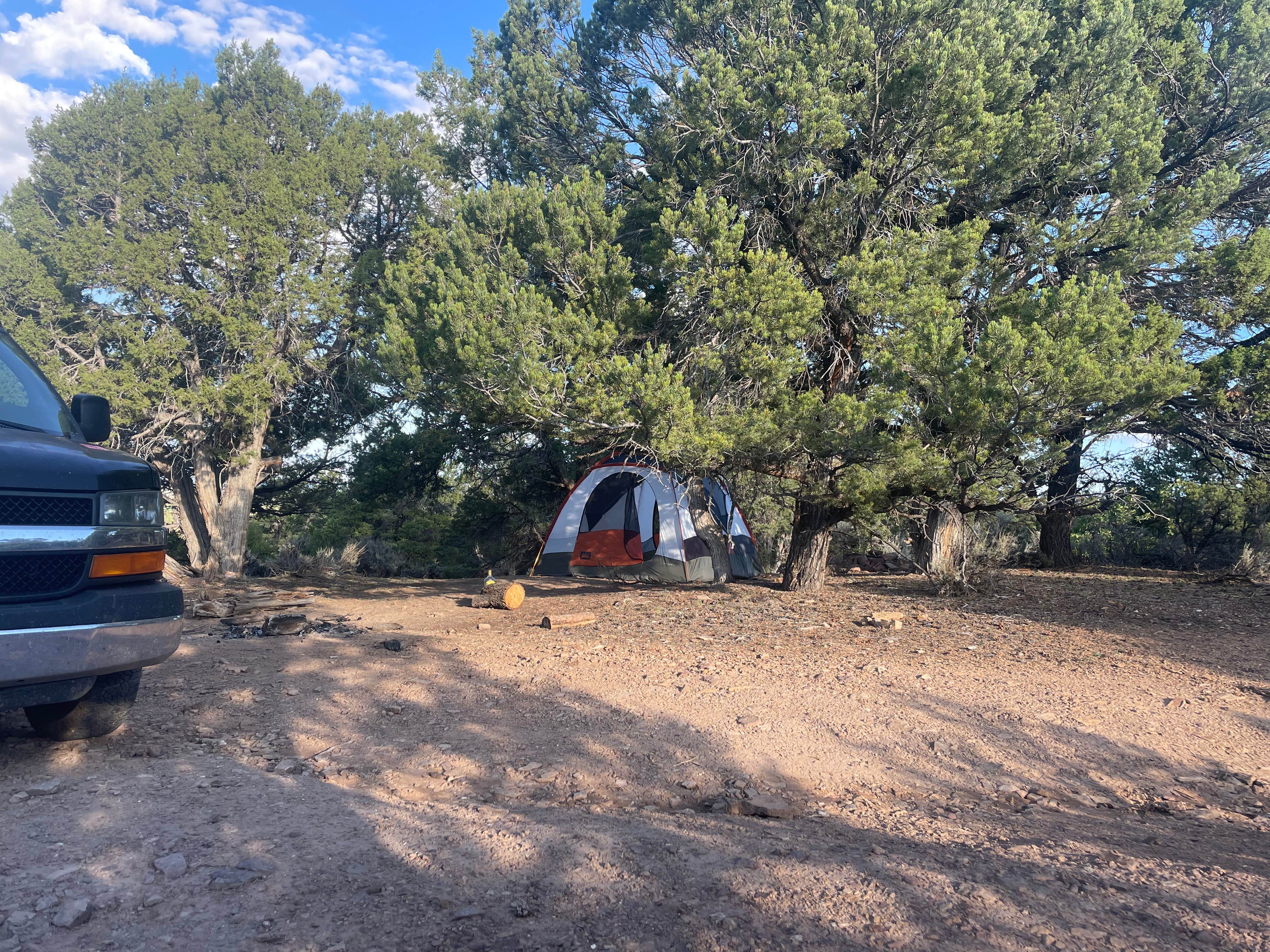 Quincy B.'s photo of a dispersed camping area at Black Canyon Dispersed Camping near Cedaredge, CO