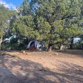 Review photo of Black Canyon Dispersed Camping by Quincy B., August 16, 2022