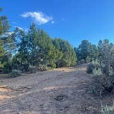 Review photo of Black Canyon Dispersed Camping by Quincy B., August 16, 2022