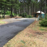Review photo of Grayland Beach State Park Campground by Colleen T., August 12, 2016