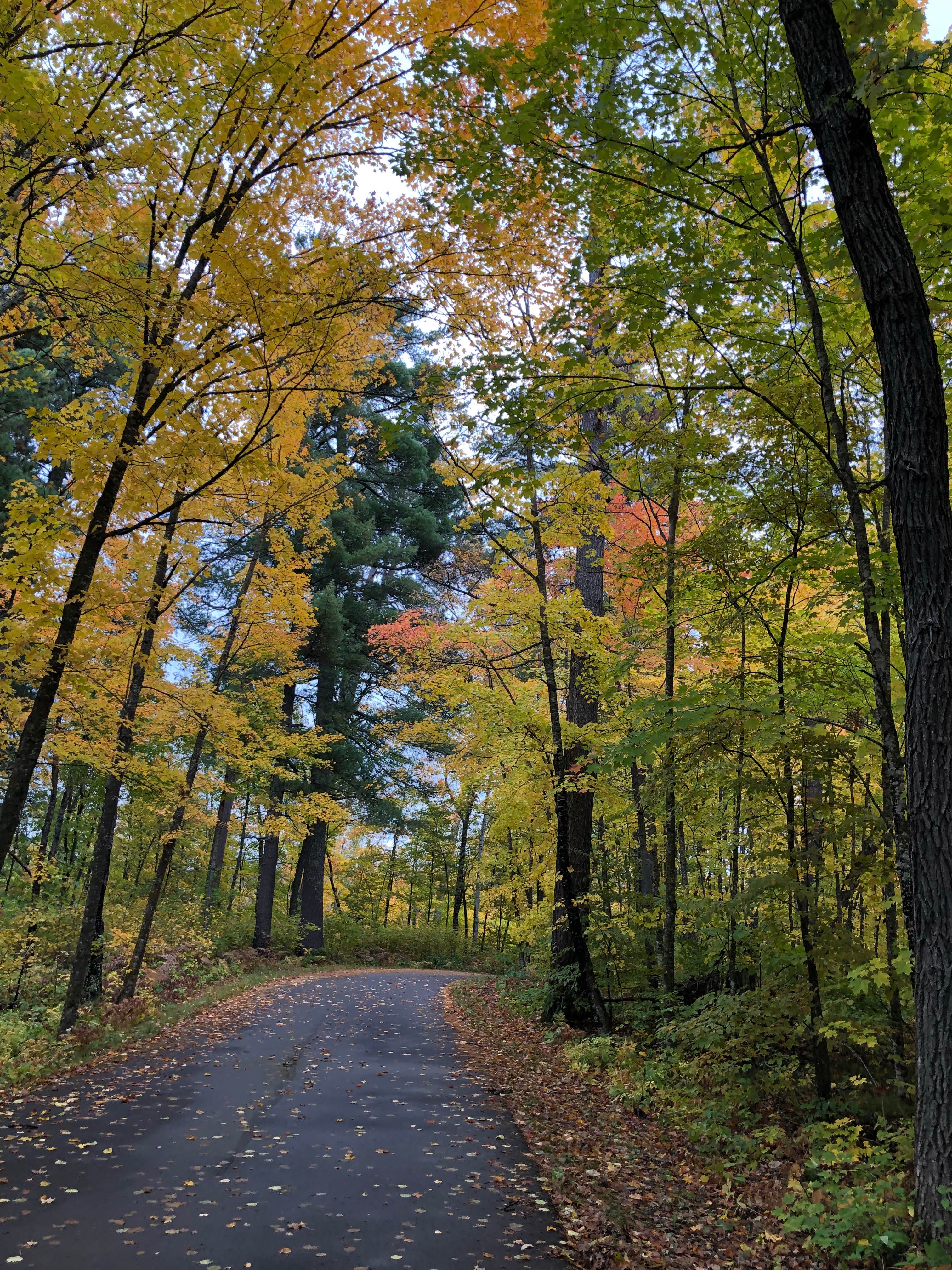 Camper-submitted photo at Bear Paw Campground — Itasca State Park near Laporte, MN