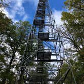 Review photo of Bear Paw Campground — Itasca State Park by Lee D., September 28, 2018