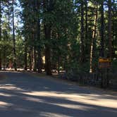 Review photo of Sentinel Campground — Kings Canyon National Park by Kelsey M., September 28, 2018