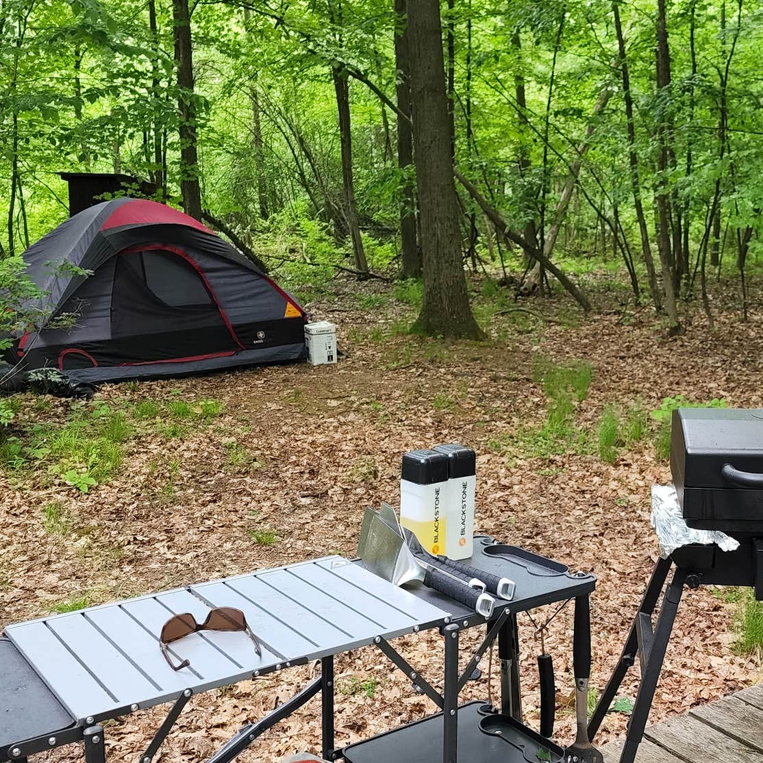 Lake Islands Long Island Group Camping Bolton Landing, NY