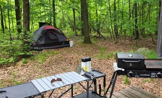 Camping near Lake Hadlock Inn, Beach and Campground: Lake George Islands Long Island Group, Cleverdale, New York