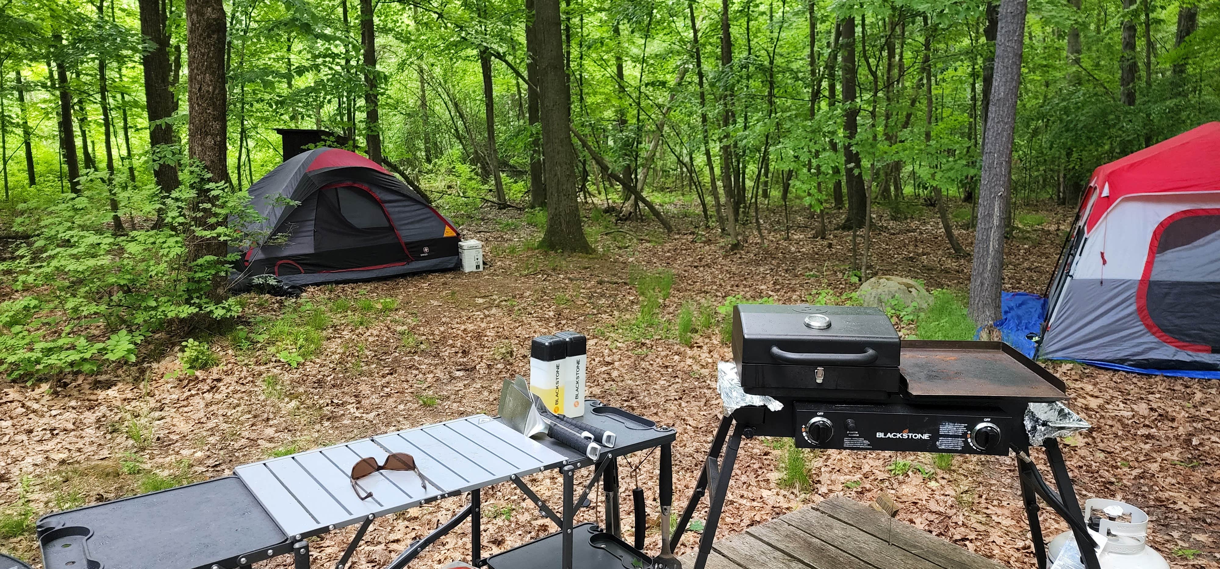 Lake Islands Long Island Group Camping Bolton Landing, NY