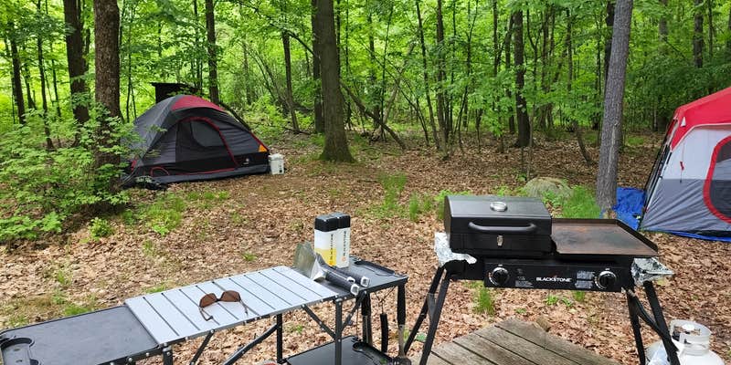 Camper submitted image from Long Island Group — Lake George Islands