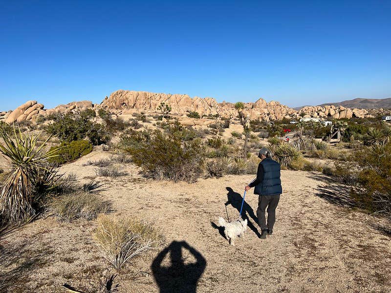 Jay H.'s photo of camping with pets at Jumbo Rocks Campground — Joshua Tree National Park near Palm Desert, CA