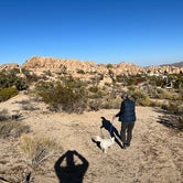 Review photo of Jumbo Rocks Campground — Joshua Tree National Park by Jay H., December 3, 2022