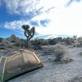 Review photo of Jumbo Rocks Campground — Joshua Tree National Park by Jay H., December 3, 2022