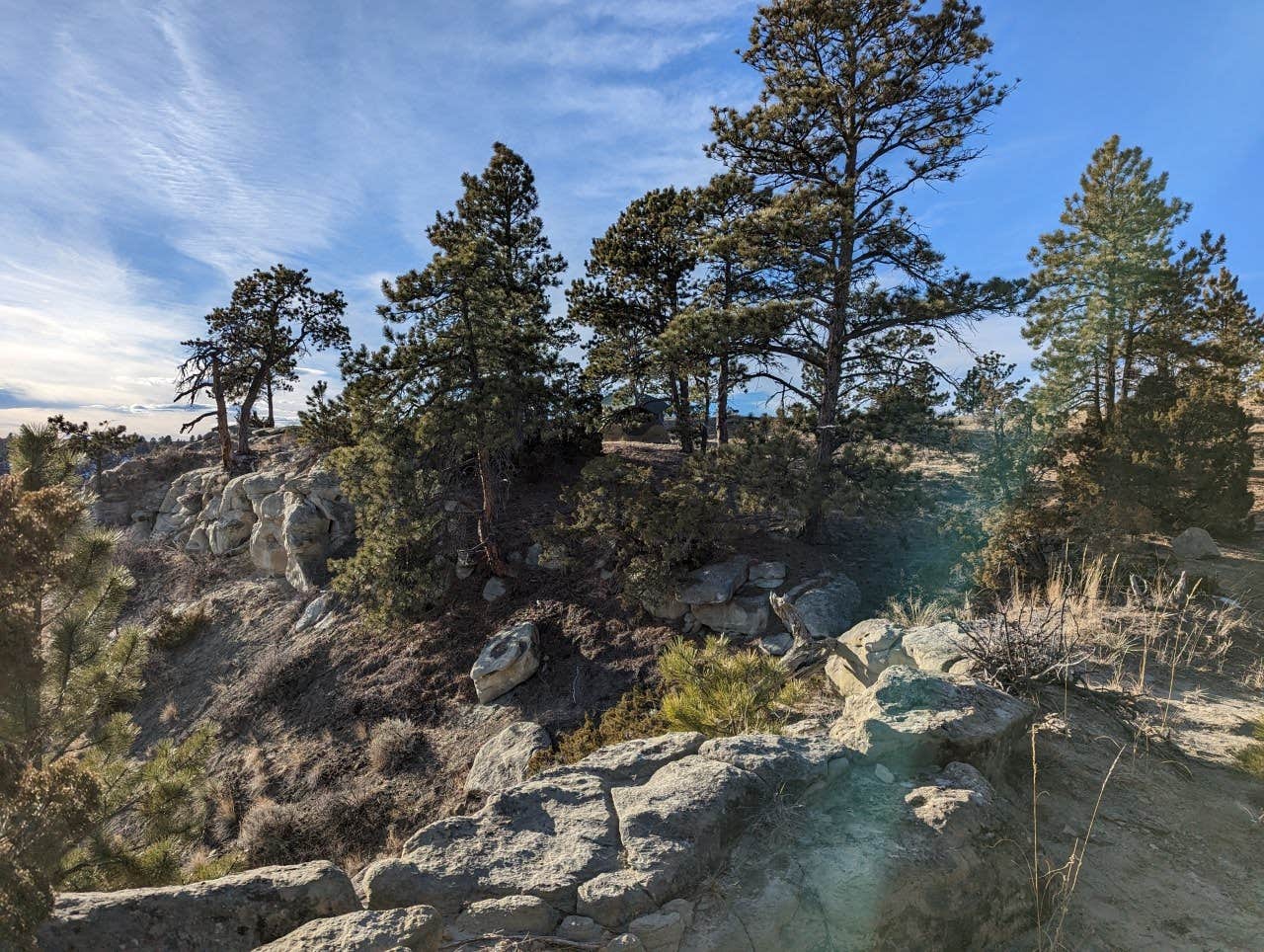 Daniel S.'s photo of a dispersed camping area at Acton Recreation Area in Montana