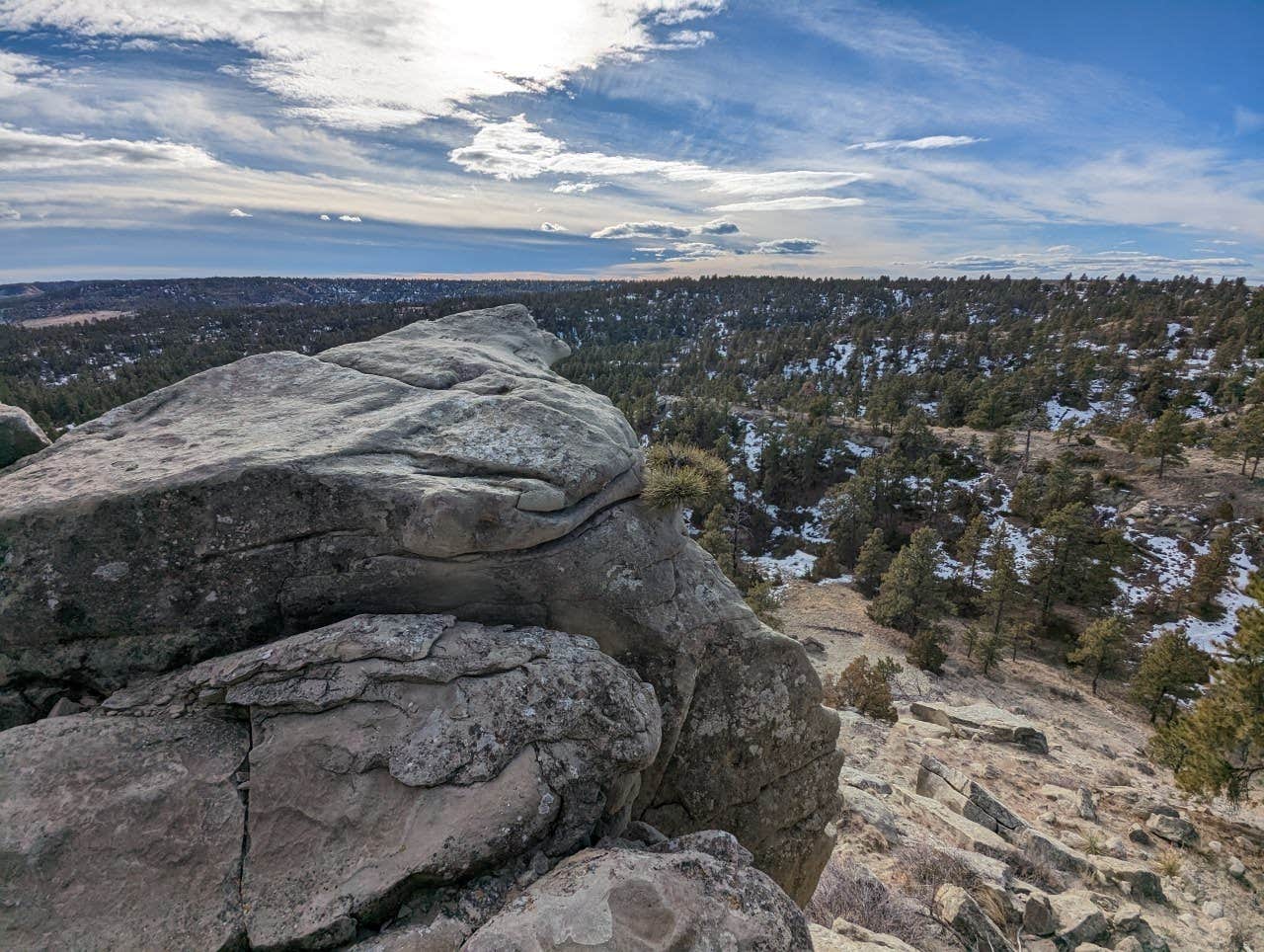 Daniel S.'s photo of a dispersed camping area at Acton Recreation Area near Billings, MT