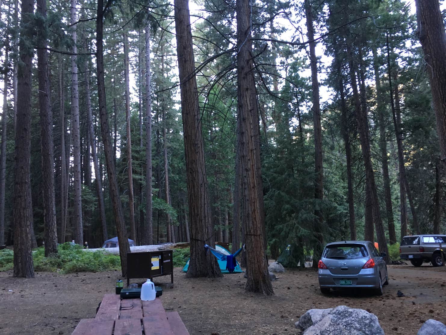 Sentinel Campground Camping | The Dyrt