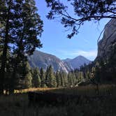 Review photo of Sentinel Campground — Kings Canyon National Park by Kelsey M., September 28, 2018