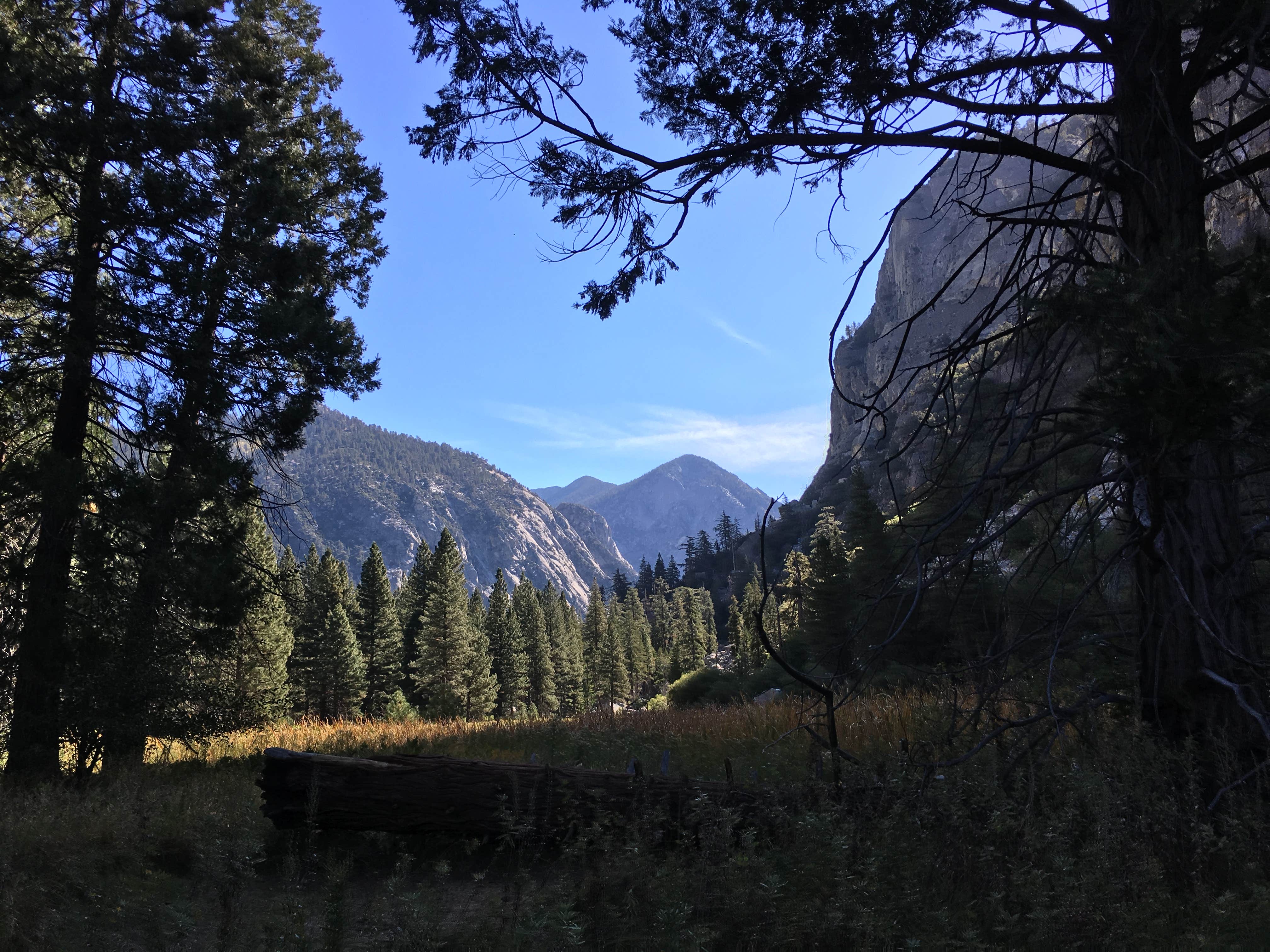 Camper submitted image from Sentinel Campground — Kings Canyon National Park - 1