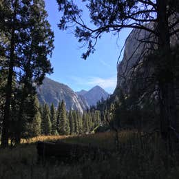 Sentinel Campground — Kings Canyon National Park