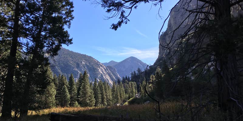 Camper submitted image from Sentinel Campground — Kings Canyon National Park