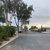 Review photo of Rio Bend RV & Golf Resort by Karen  B., January 15, 2023