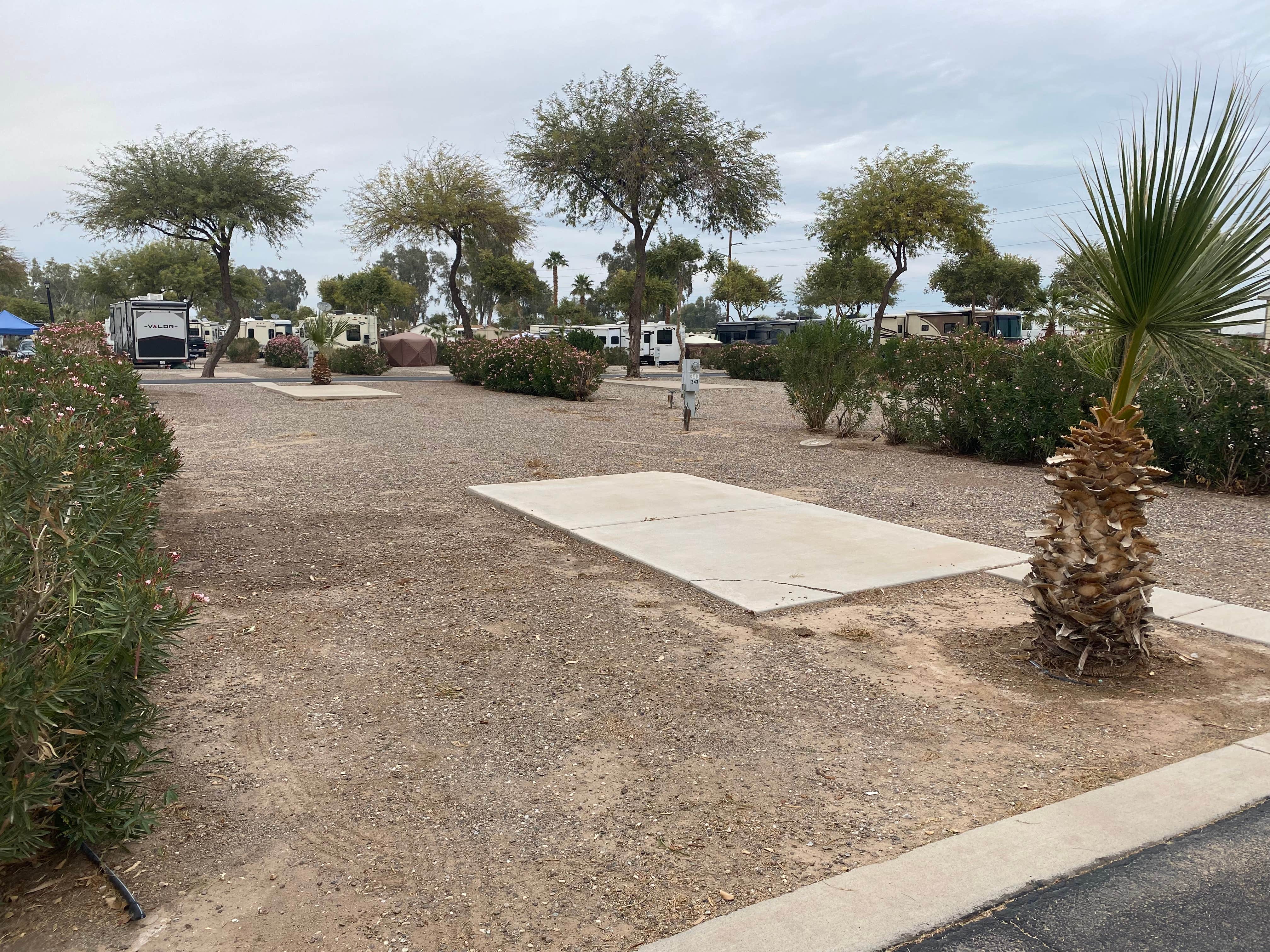 Camper-submitted photo at Rio Bend RV & Golf Resort near Calipatria, CA