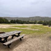 Review photo of San Mateo Campground — San Onofre State Beach by Anita , January 15, 2023