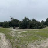 Review photo of San Mateo Campground — San Onofre State Beach by Anita , January 15, 2023