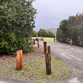 Review photo of San Mateo Campground — San Onofre State Beach by Anita , January 15, 2023