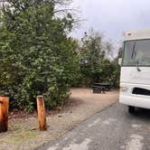 Review photo of San Mateo Campground — San Onofre State Beach by Anita , January 15, 2023