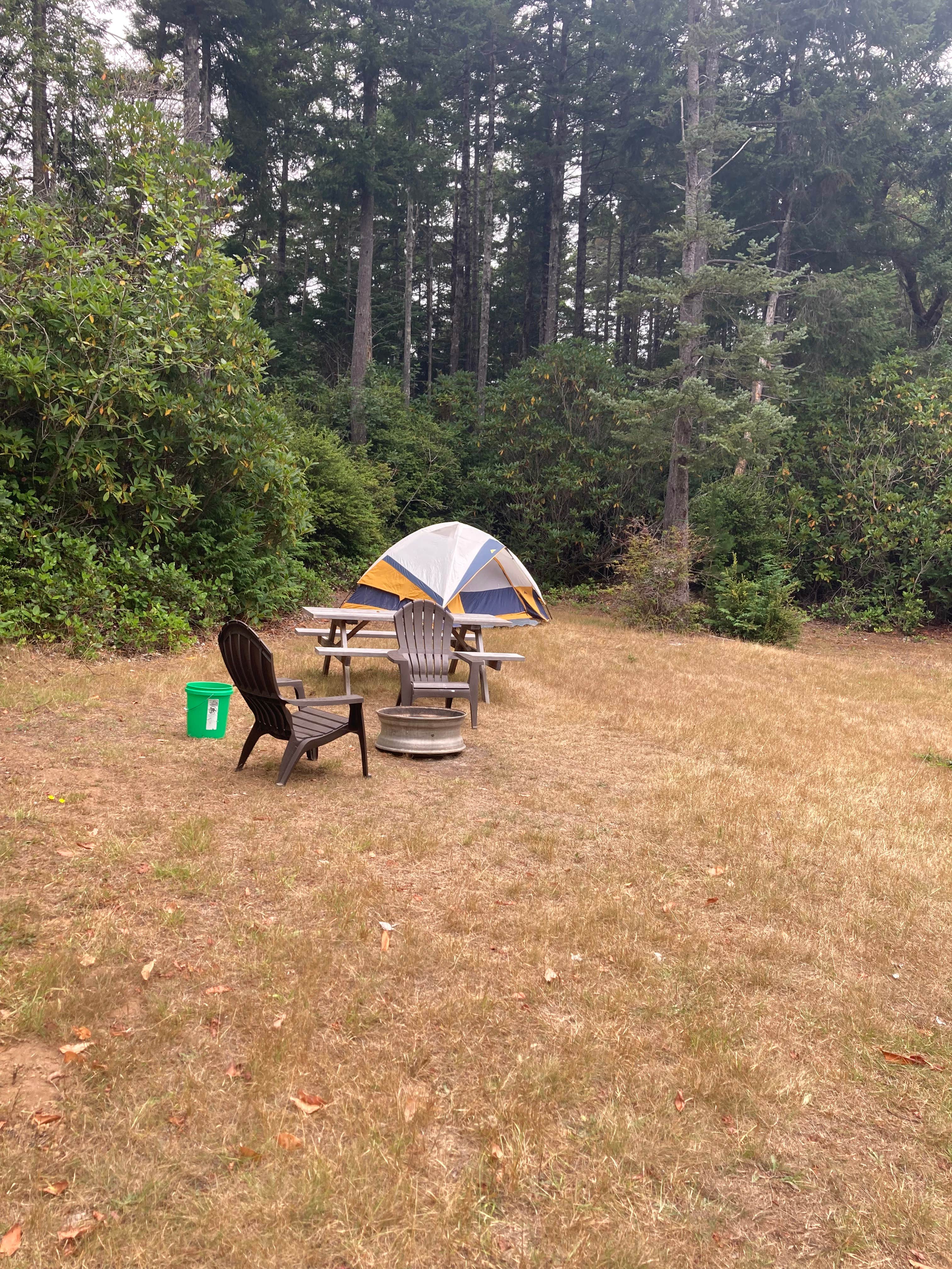 Heather's photo at Dew Valley Ranch Nature Retreat near Bandon, OR